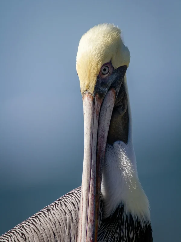 matt-bango-Qcd4ZhGGUKg-unsplash