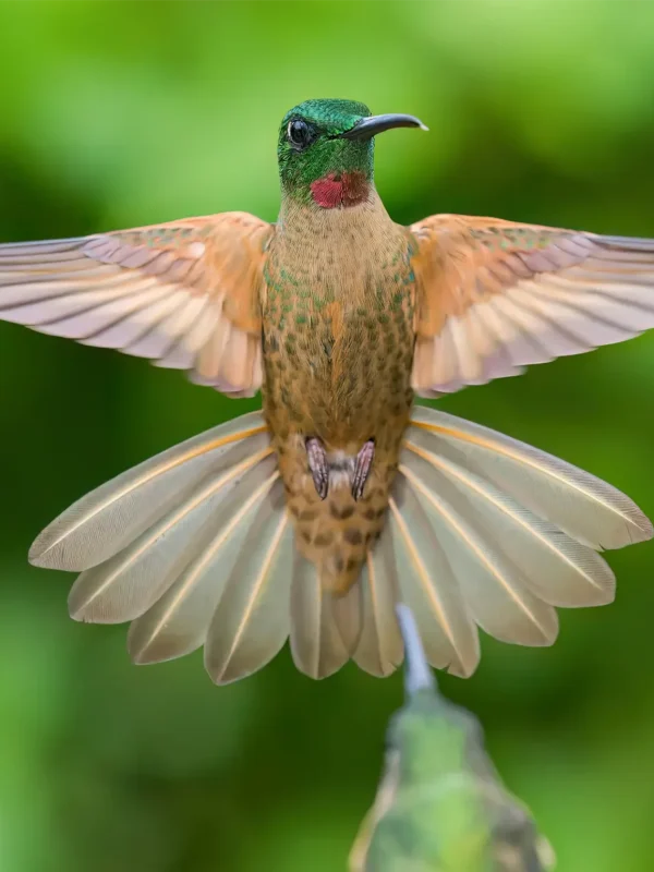 zdenek-machacek-tiqaJA8vZ2w-unsplash